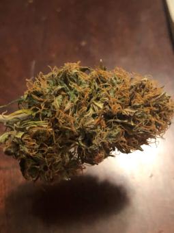 Zkittlez OG Auto - картинка 2